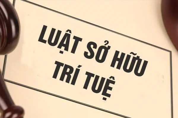 luật sư sở hữu trí tuệ